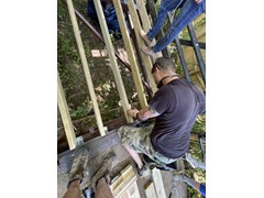 IMG_9492